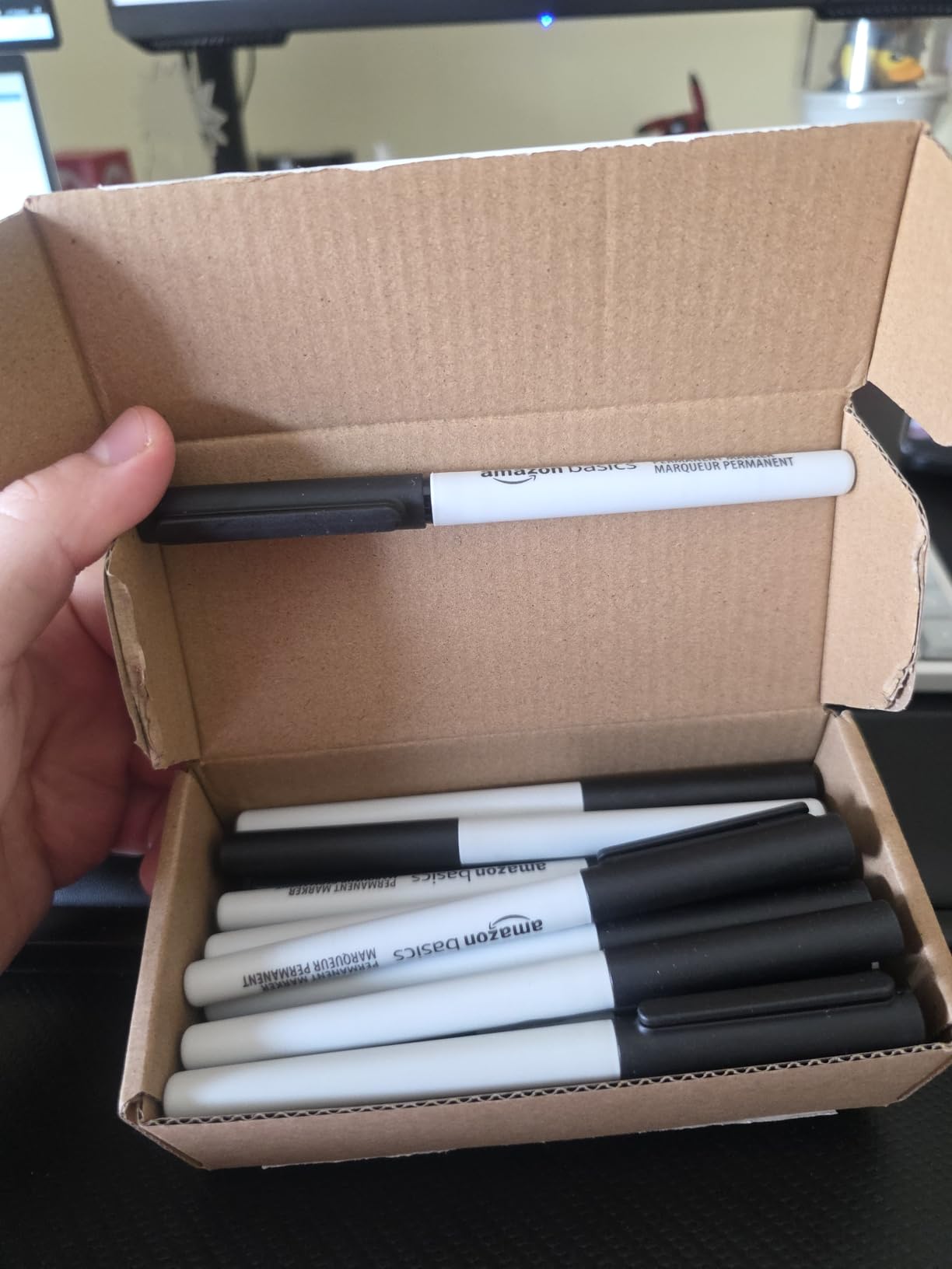 AmazonBasics Pennarelli Indelebili Punta a Scalpello 24 Colori