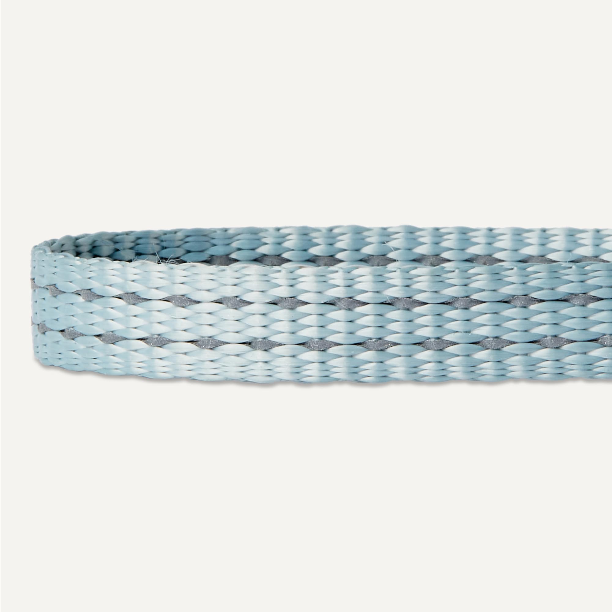 AmazonBasics Collare Cane Riflettente XS Blu