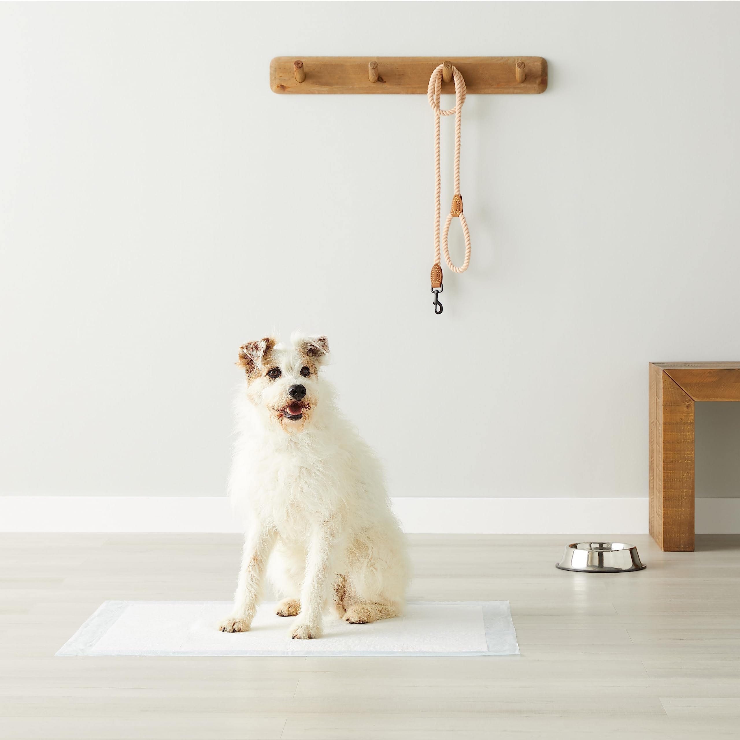 Amazon Basics Tappetini Assorbenti Cani 71x86 cm 40 Pezzi 5 Strati