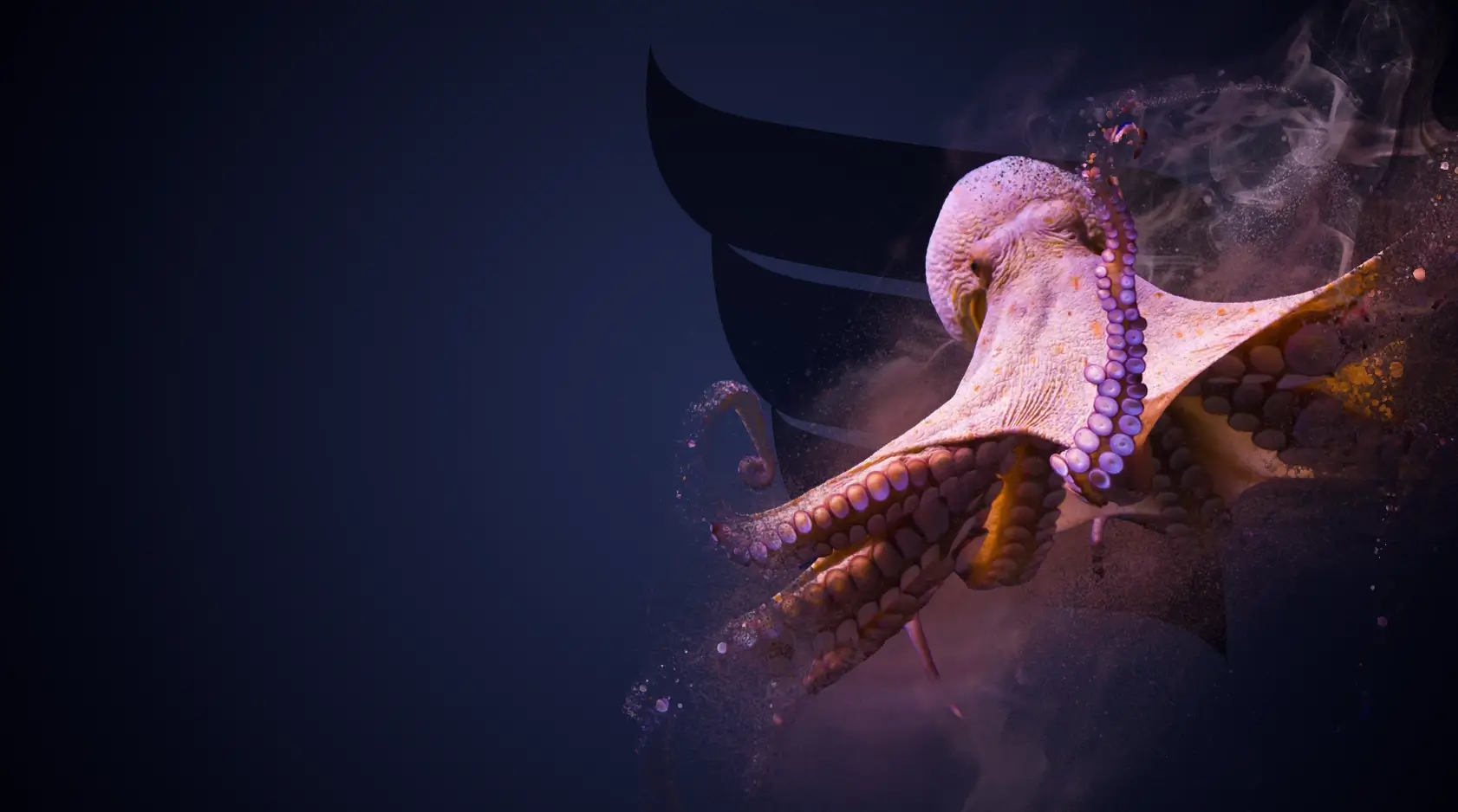 NI.VA Octopus Asset Management Software Gestione Asset