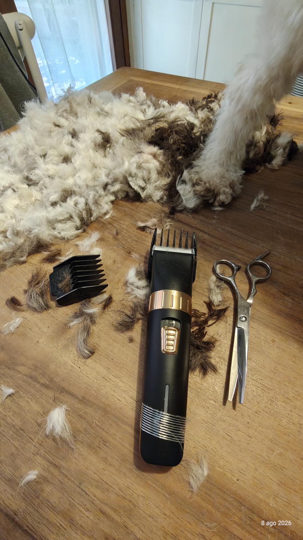 Amazon Basics tosatrici per cani ricaricabile silenziosa USB