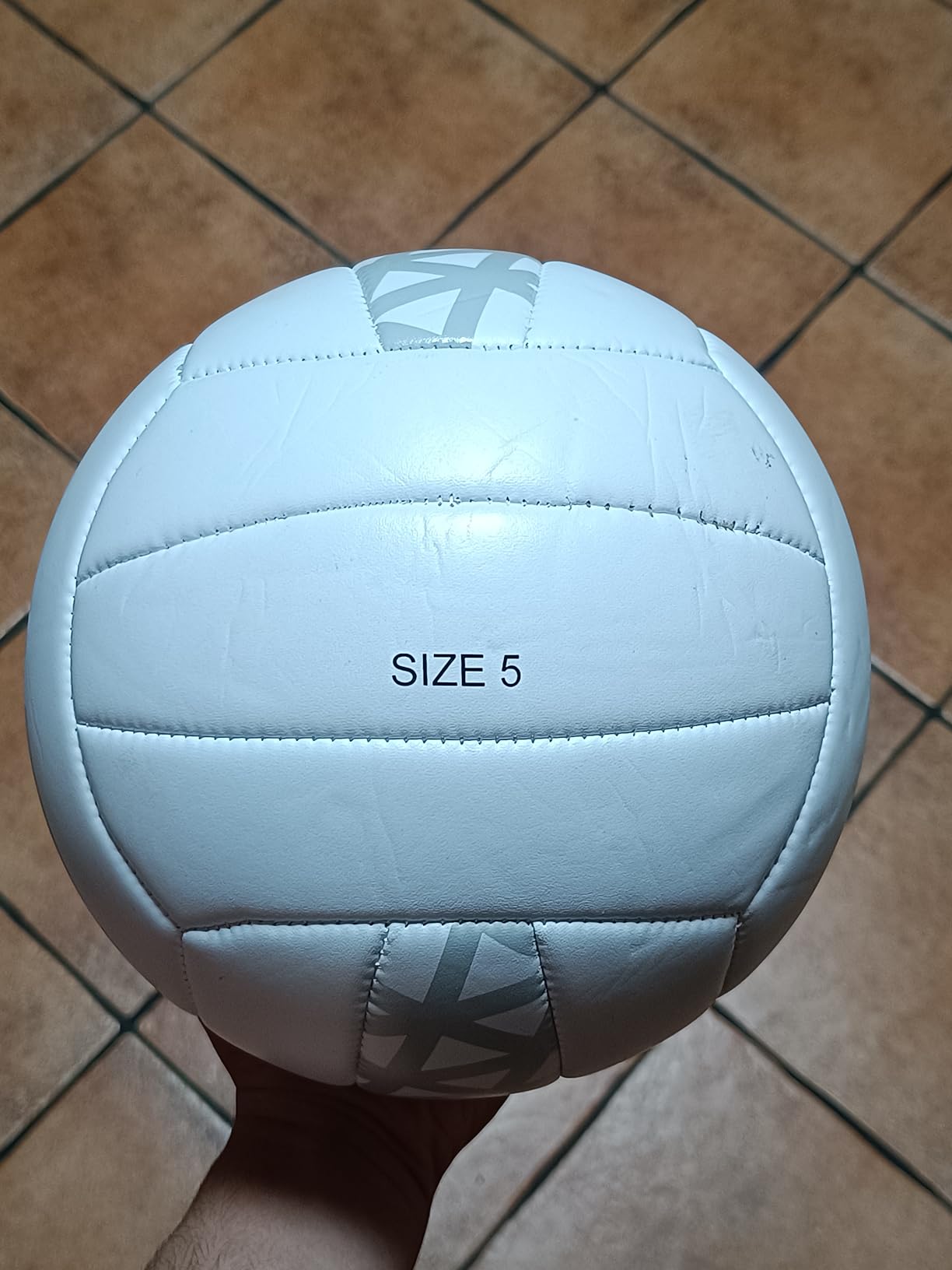 Amazon Basics Pallone Pallavolo Misura 5 con Pompa