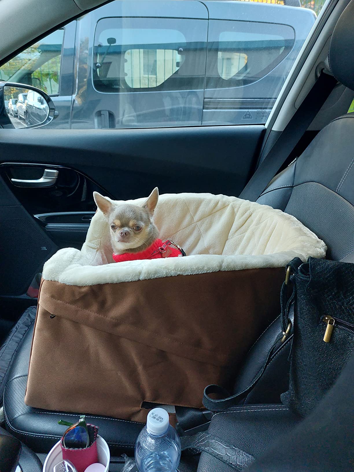 Amazon Basics Seggiolino Auto per Cani beige piccolo
