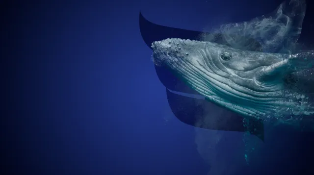 NI.VA Whale HR Management Software Gestione Personale HR