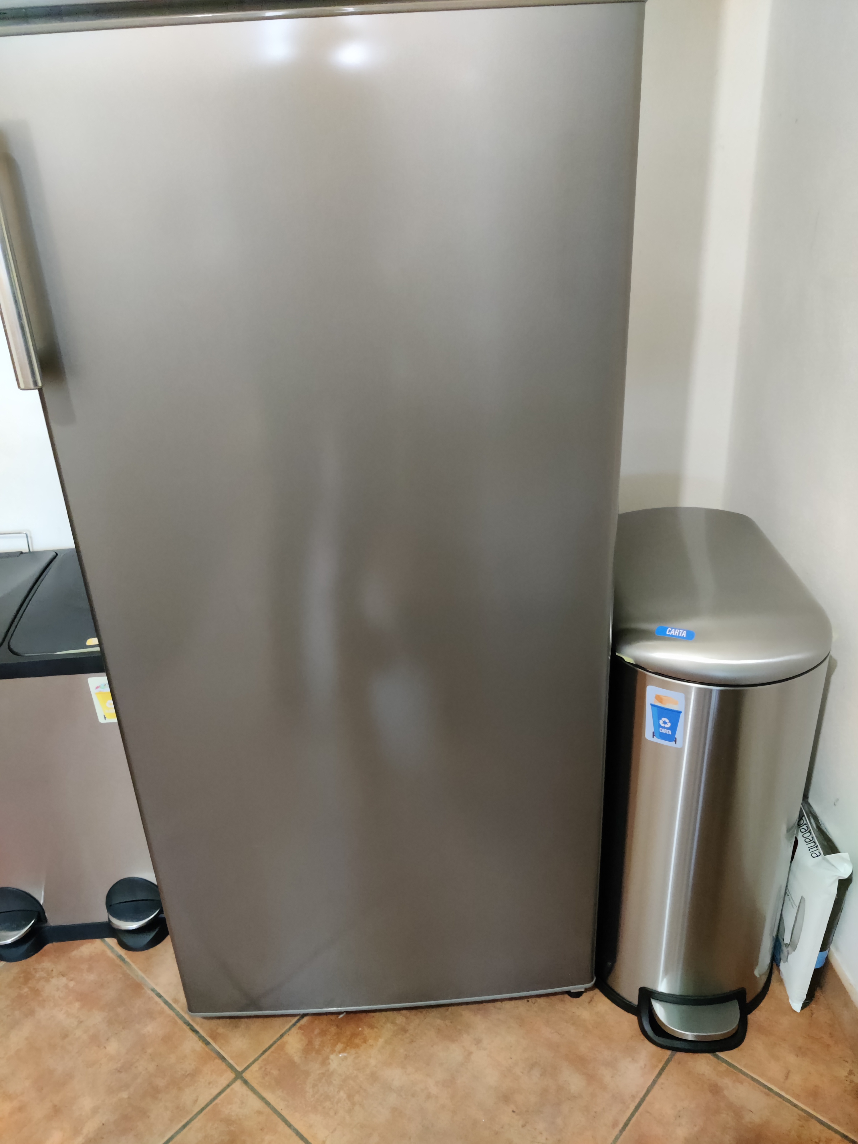 Amazon Basics Pattumiera con Pedale Acciaio Inox 10 L slim