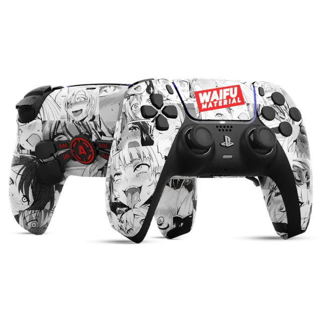 Aim Controller Waifu pad PS5 fullprint