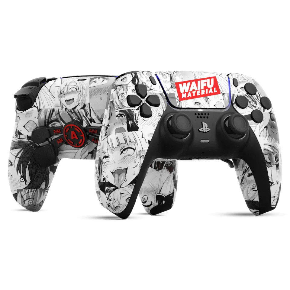 Aim Controller Waifu pad PS5 fullprint
