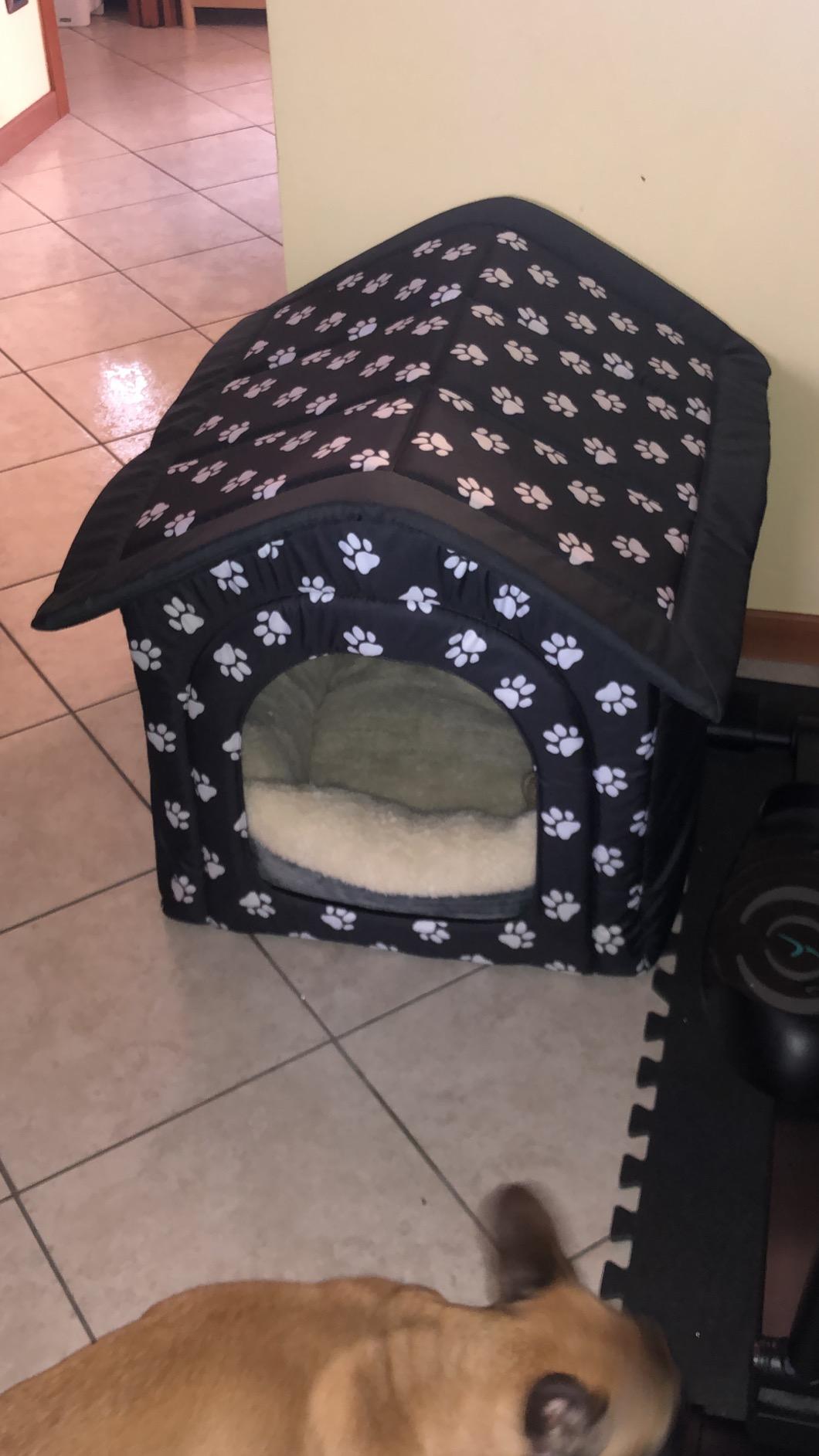 AmazonBasics Lettino Animali Riscaldante 61 cm Grigio