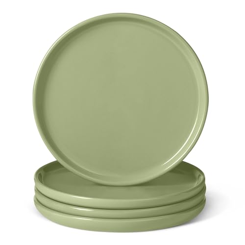 AmazonBasics Set 4 Piatti Antipasti 17 cm Verde Oliva Gres