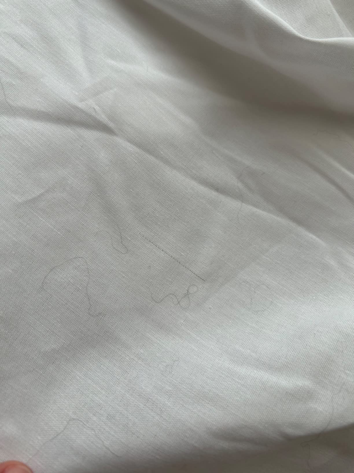 AmazonBasics Lenzuolo con Angoli 160x200 Bianco Cotone
