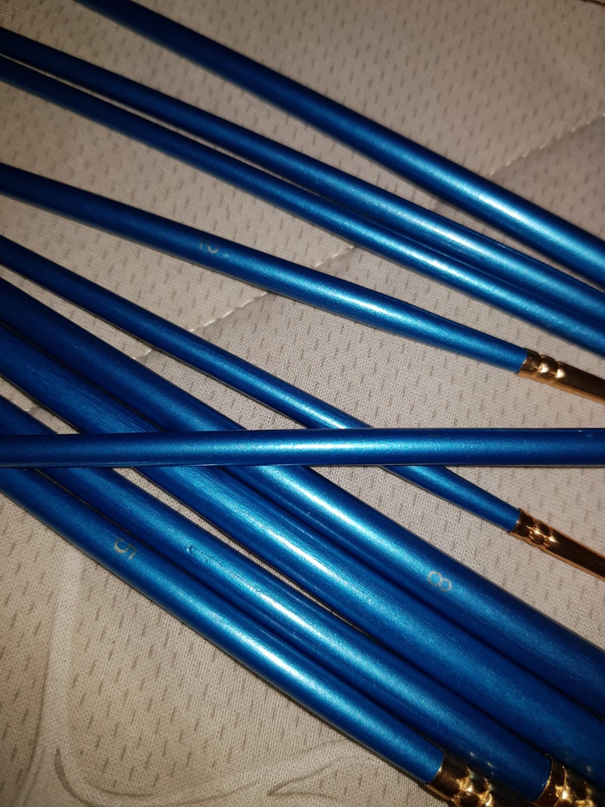 AmazonBasics Set 10 Pennelli Pittura Blu Acrilico