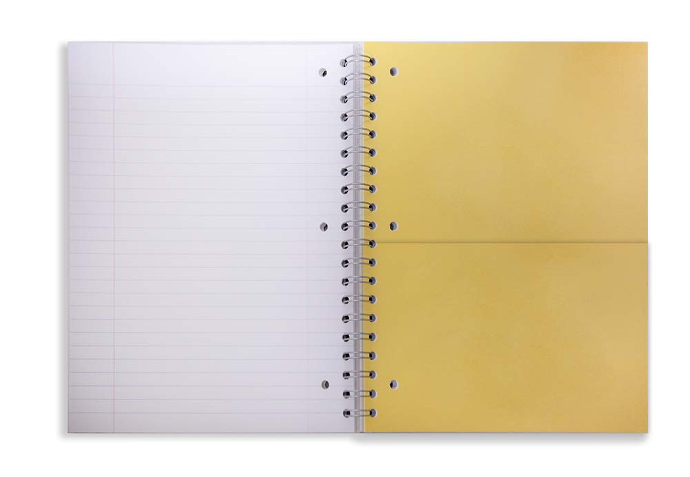 Amazon Basics Quaderni a Righe Larghe 3 Soggetti 6 Pezzi