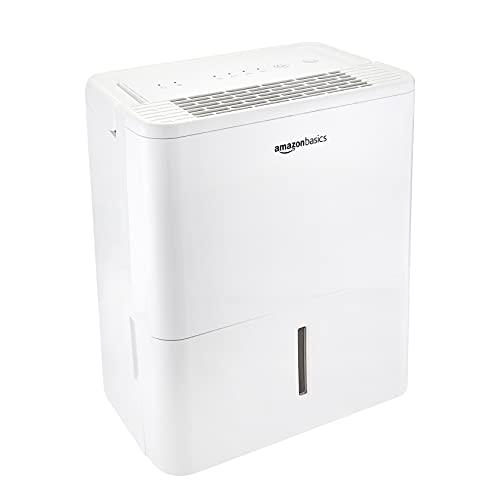 Amazon Basics deumidificatore 12 L al giorno 2 L R290