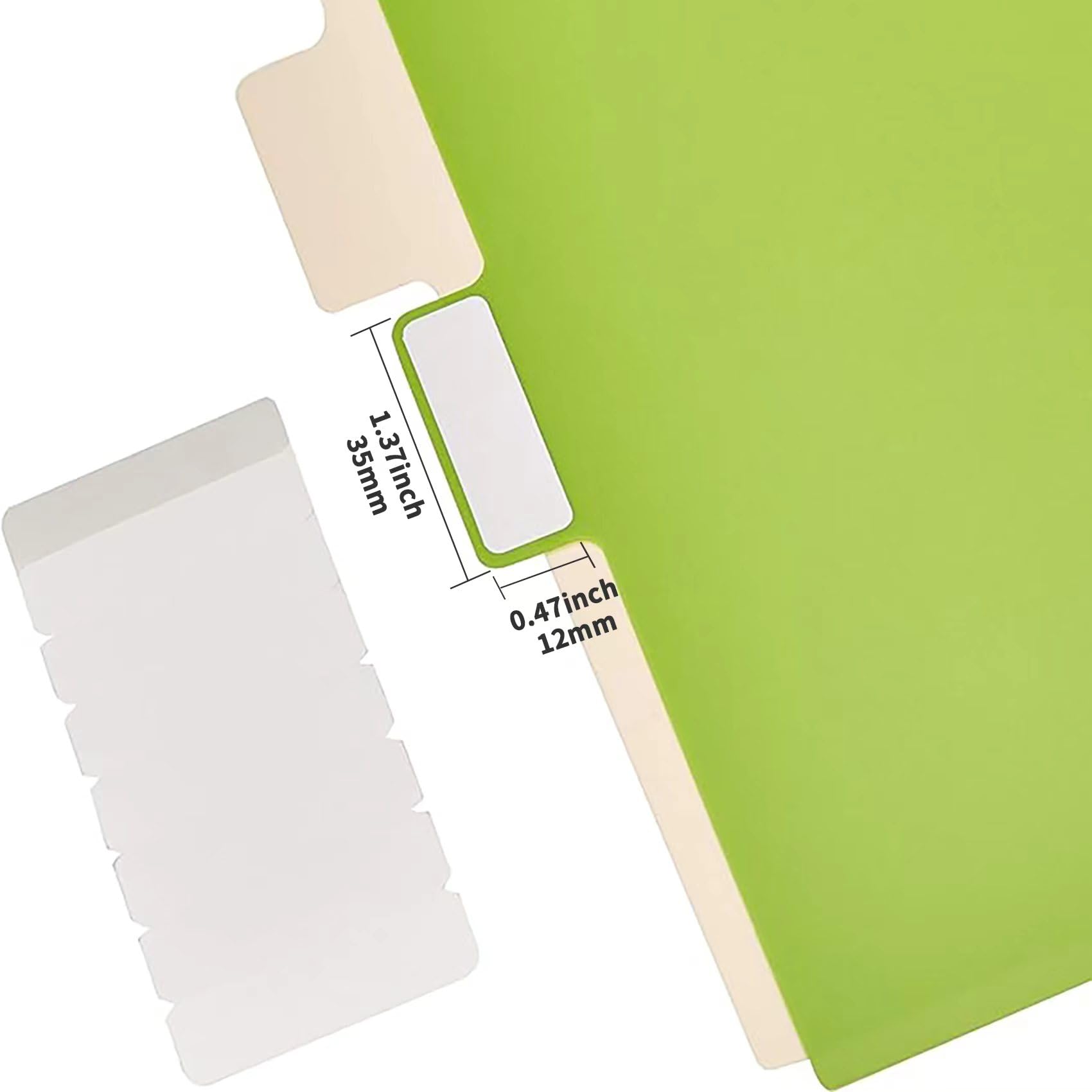 Amazon Basics Divisori 8 Linguette Lettera 6 Pezzi Colorati