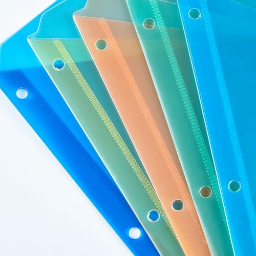 Amazon Basics Buste Forate A4 Colorate 25 Pezzi Trasparenti