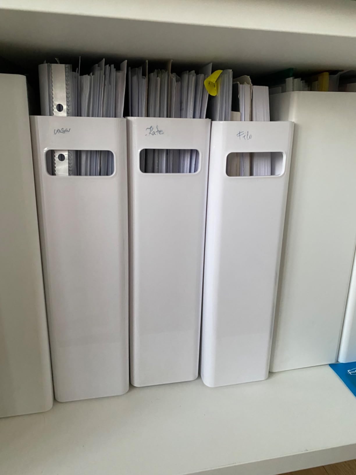 Amazon Basics Organizer Portariviste Plastica 2pz Bianco