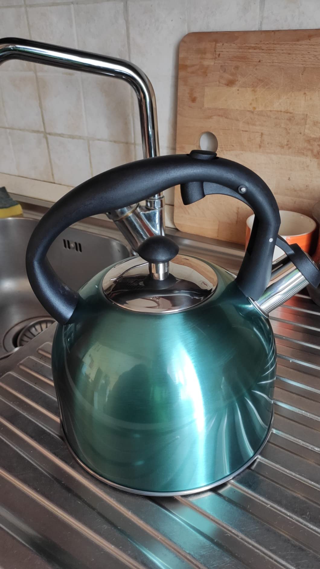 Amazon Basics Bollitore Acciaio Inox 2,3 L Blu Foglia Tè