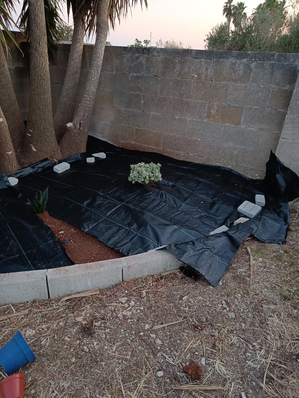 Amazon Basics Telo Pacciamatura Nero 0,9x15,2 m