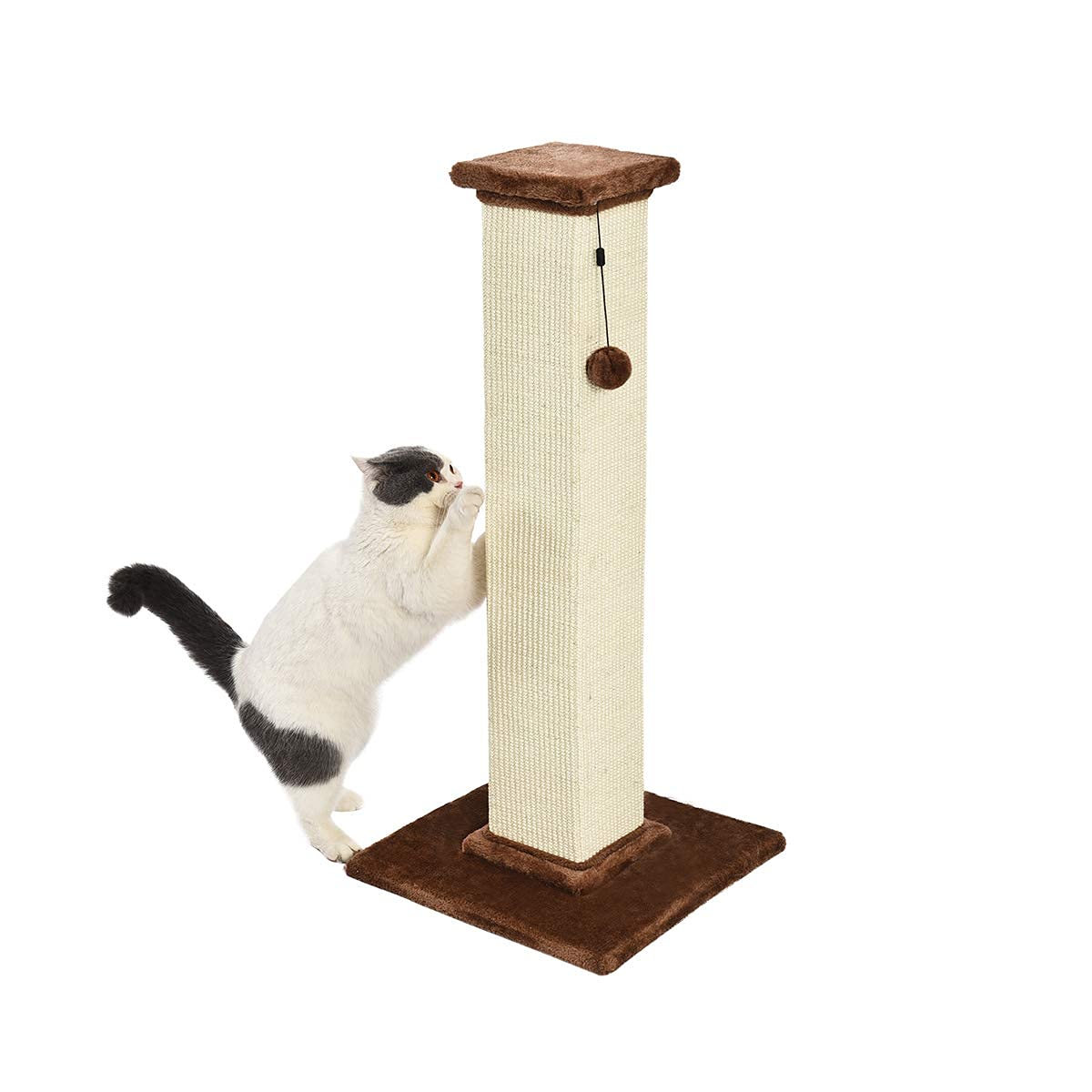 AmazonBasics Tiragraffi gatti standard 80 cm grigio juta