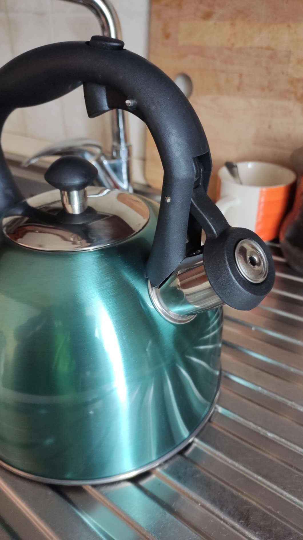 Amazon Basics Bollitore Acciaio Inox 2,3 L Blu Foglia Tè