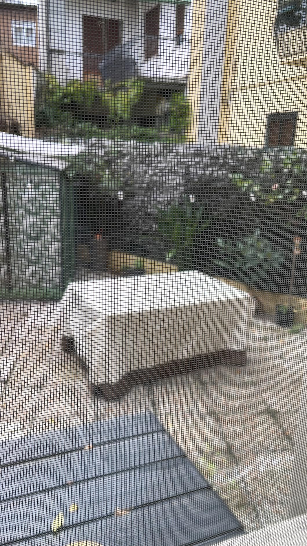 AmazonBasics telo tavolo giardino 190x114 cm beige