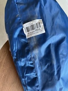 AmazonBasics Sedia da Campeggio Normale Blu in Rete