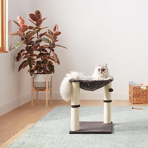 AmazonBasics Albero per Gatti con Amaca Tiragraffi Grigio