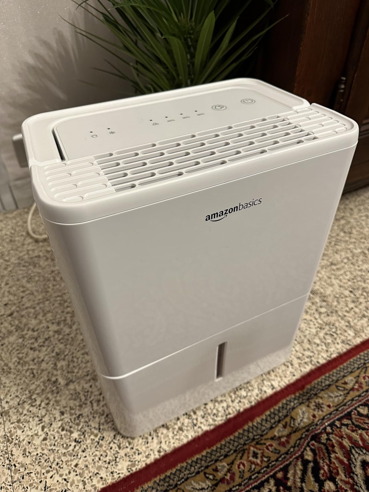 Amazon Basics deumidificatore 12 L al giorno 2 L R290