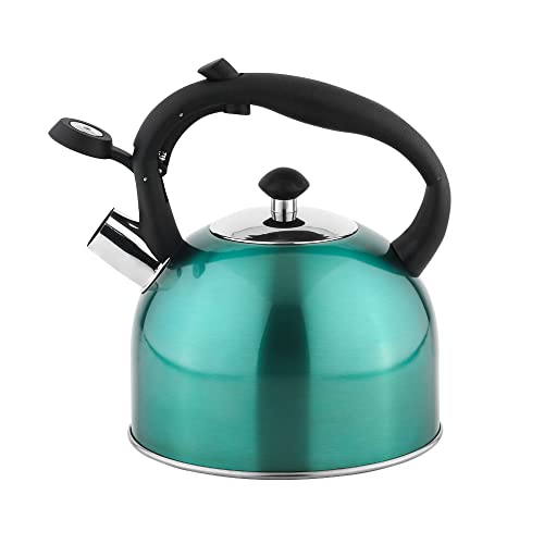 Amazon Basics Bollitore Acciaio Inox 2,3 L Blu Foglia Tè