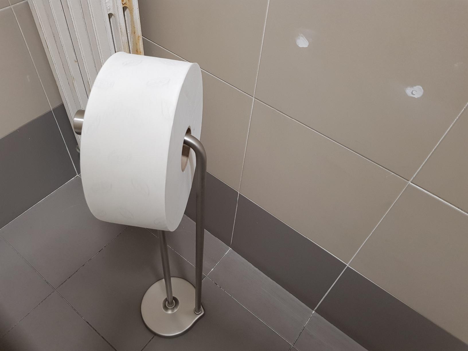 AmazonBasics piantana portarotolo carta igienica nichel