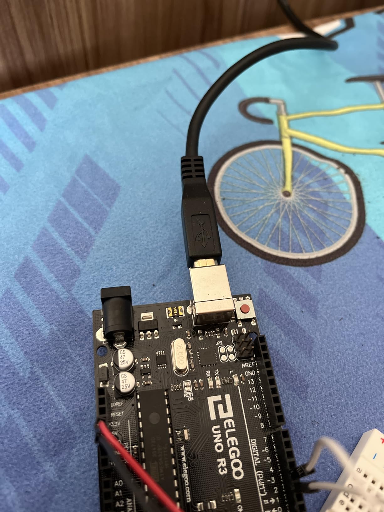 Amazon Basics cavo USB 2.0 A-B 4,8 m nero alta velocità