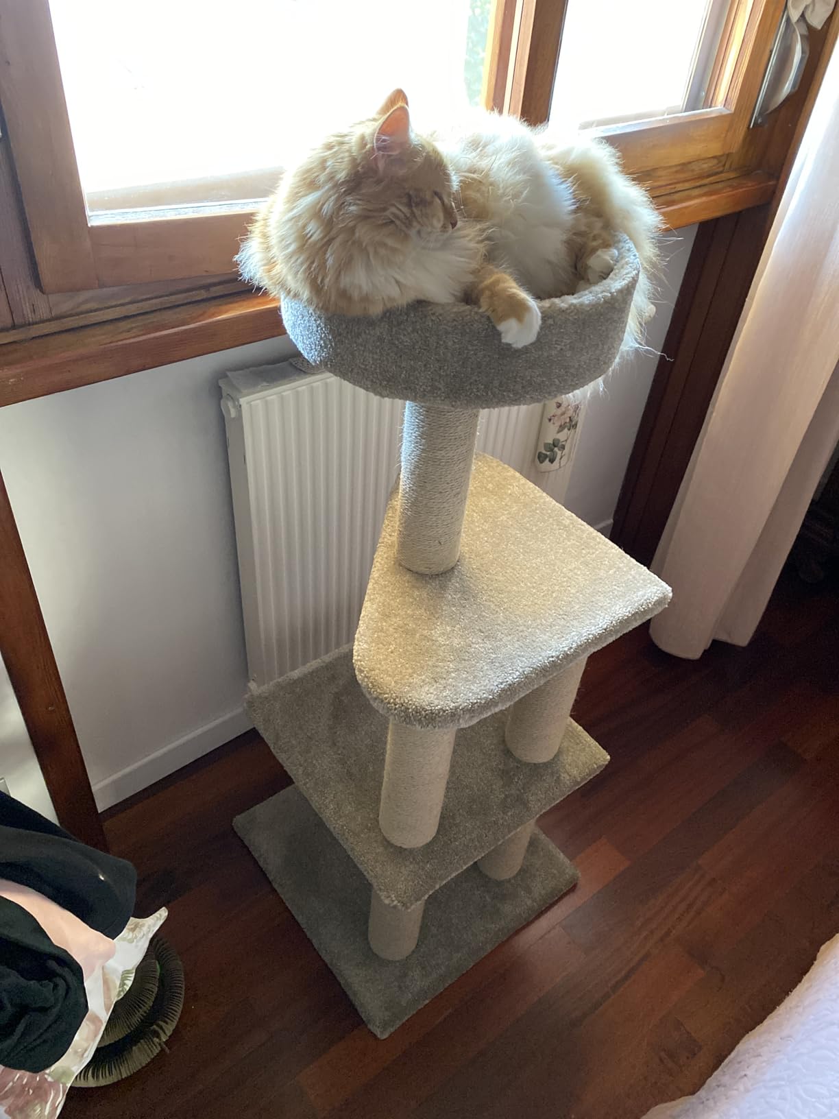 AmazonBasics Tiragraffi per Gatti Beige 117 cm 3 Piani