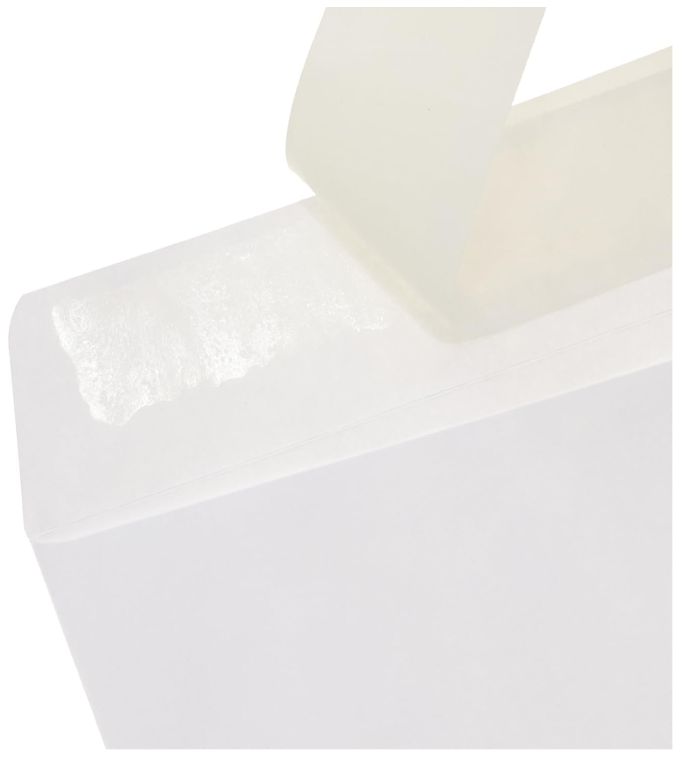 Amazon Basics Buste Catalogo Adesive 100 Pezzi Bianco