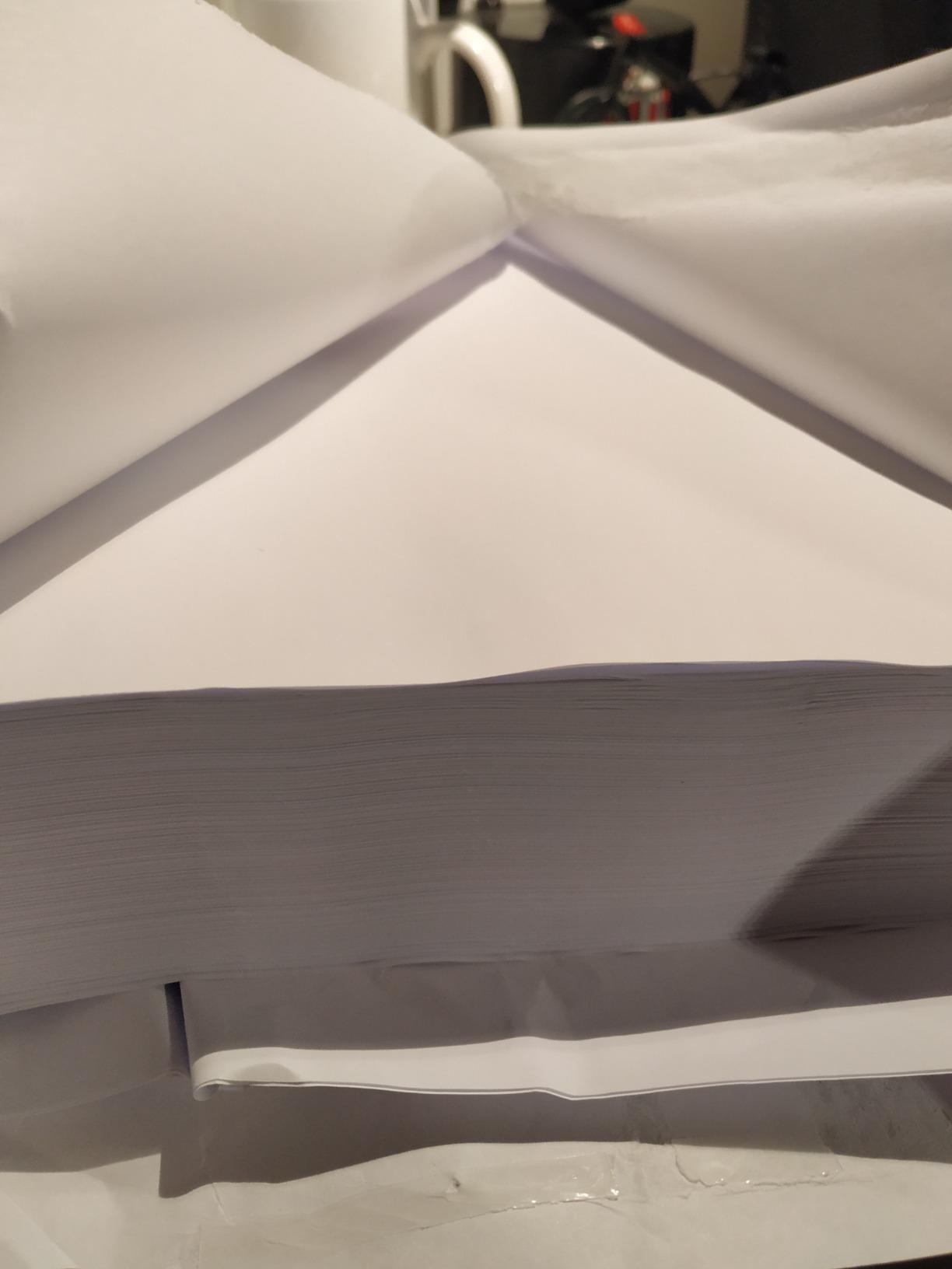Amazon Basics Carta da Stampa Multiuso A4 80g 2500 Fogli Bianca