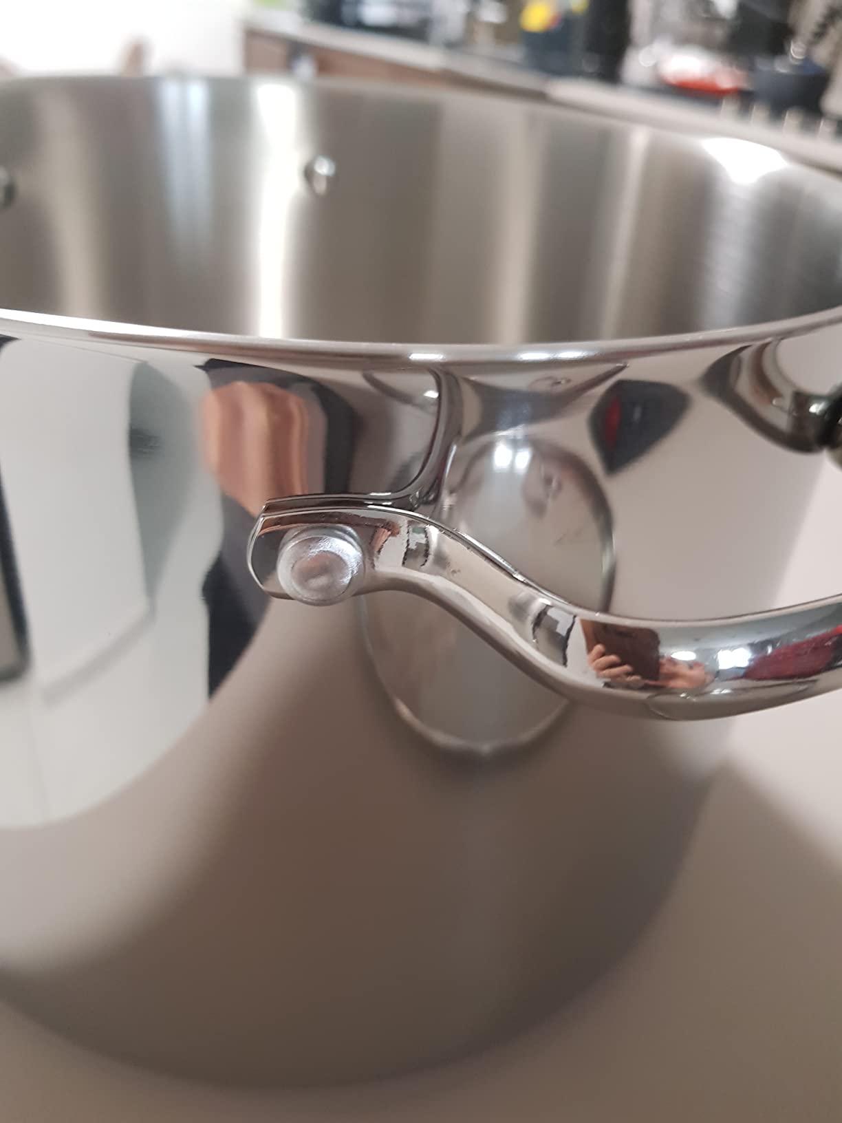 Amazon Basics Pentolone Acciaio Inox 7,6 L con Coperchio Vetro