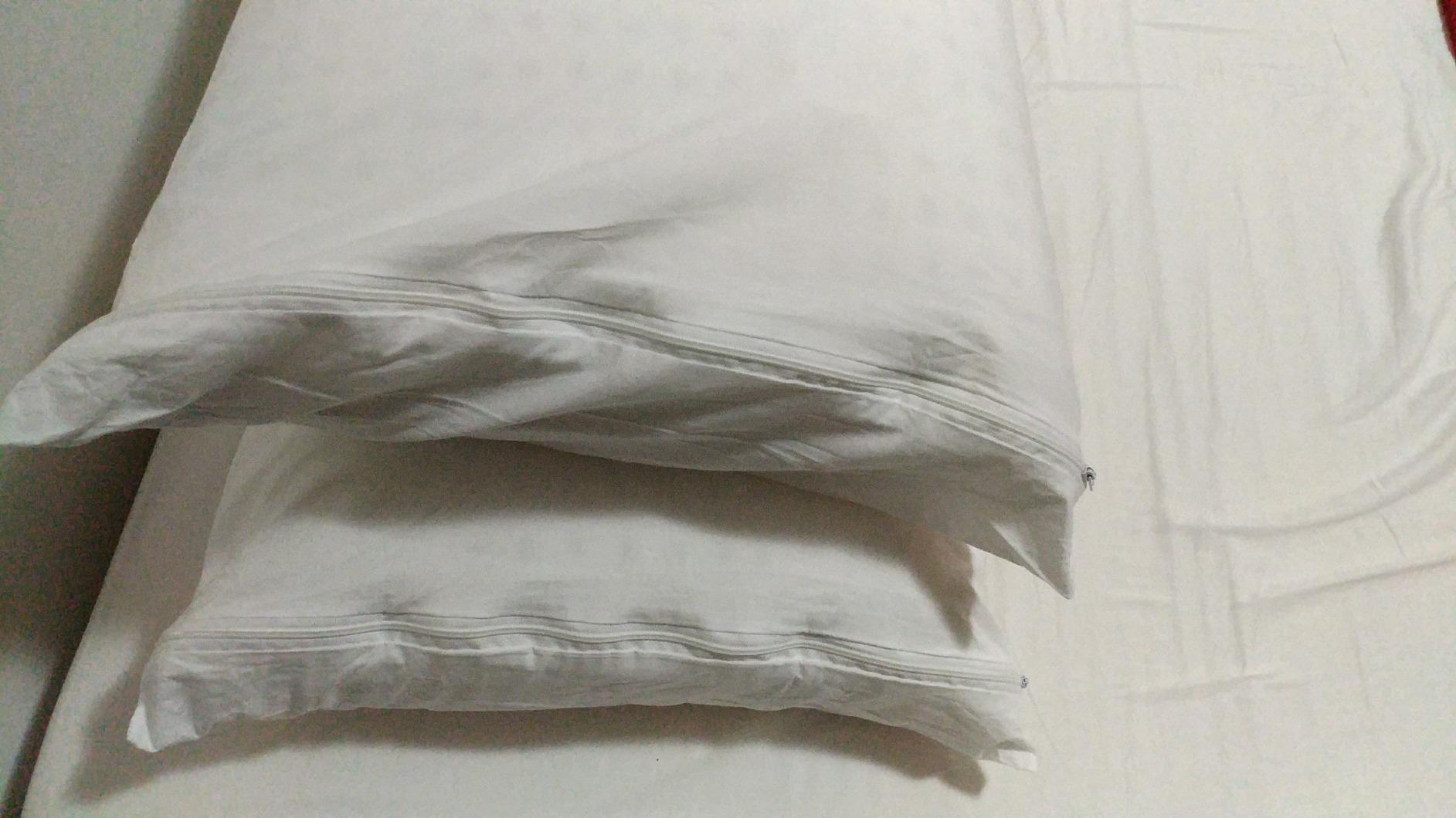 AmazonBasics Federe Cuscino 50x80 Cotone Bianco 4 Pezzi