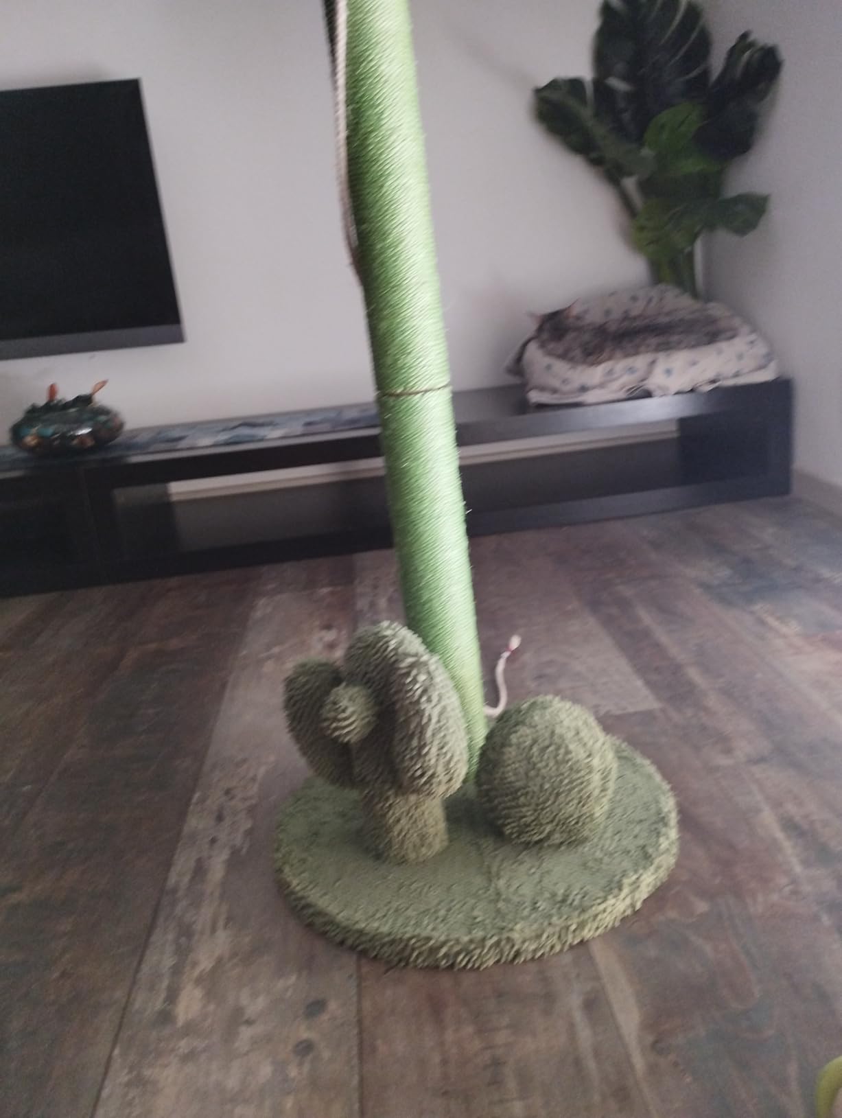 Amazon Basics Tiragraffi Cactus Grande 68 cm Verde Sisal