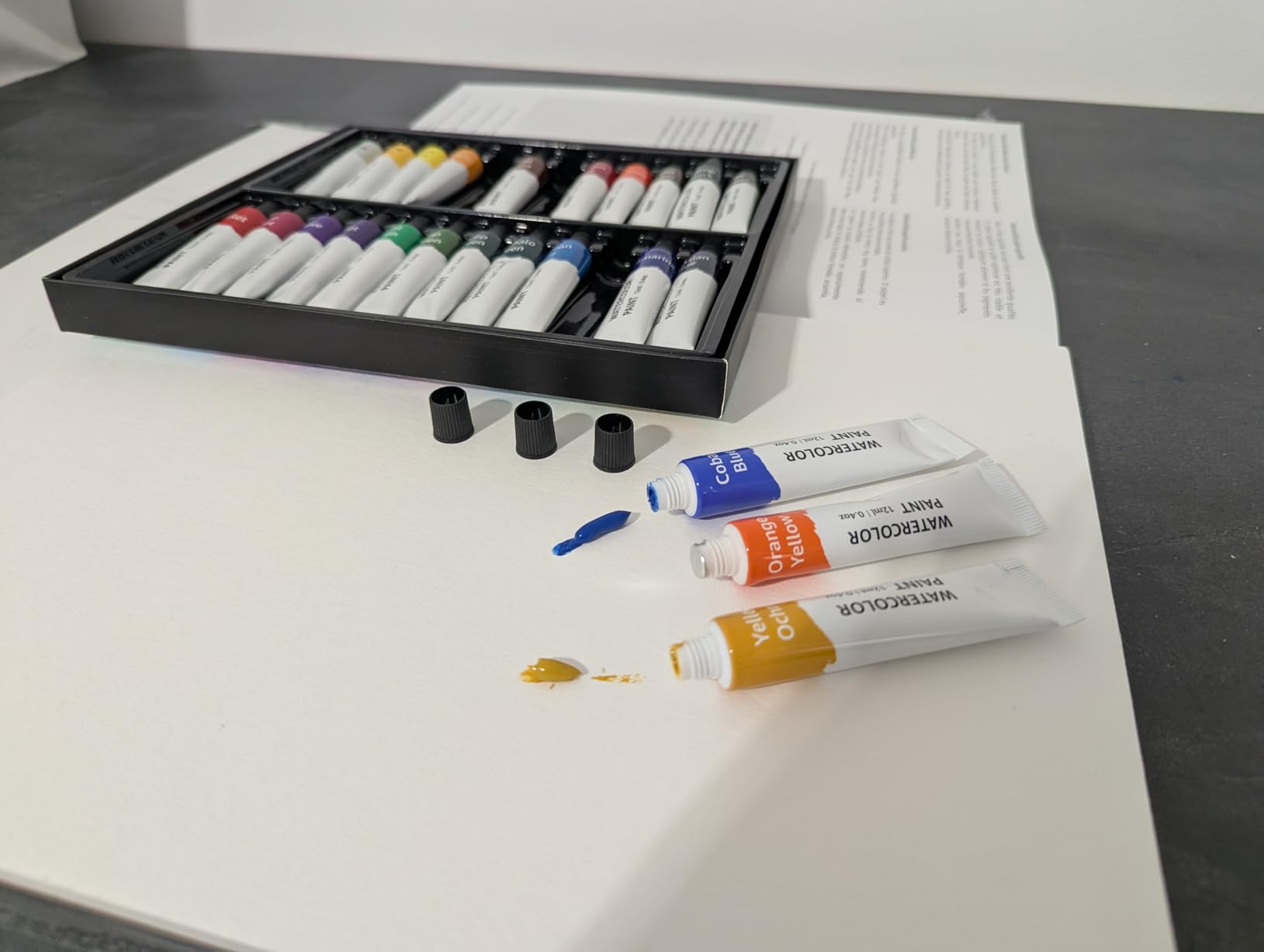 AmazonBasics Acquerelli 24 Tubetti 12 ml Colori Assortiti