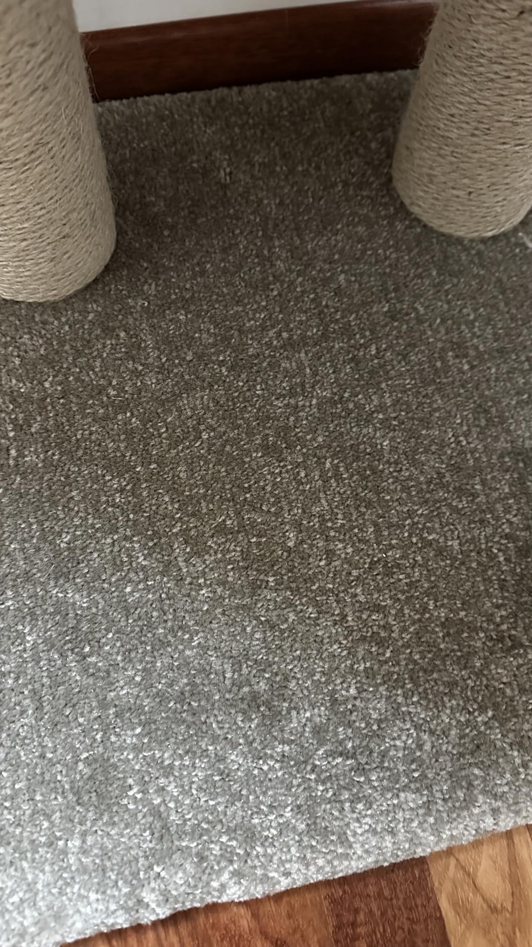 AmazonBasics Tiragraffi per Gatti Beige 117 cm 3 Piani