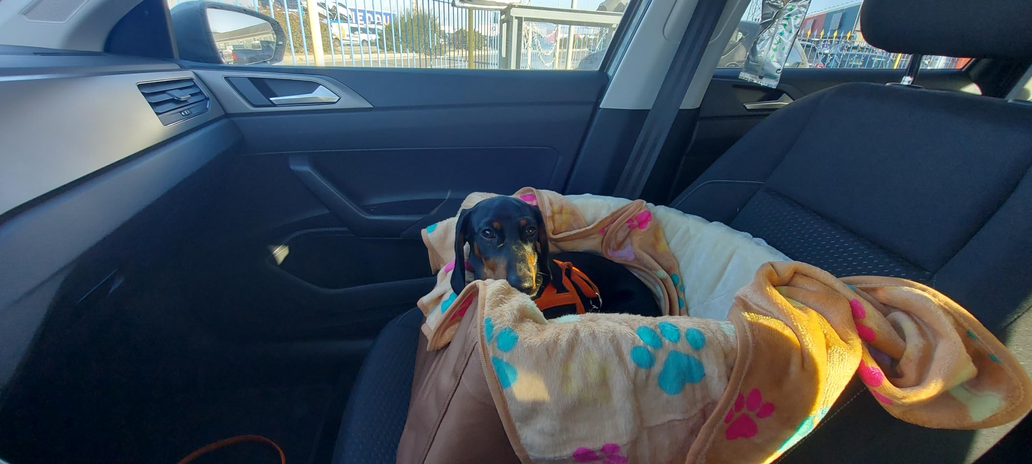 Amazon Basics Seggiolino Auto per Cani beige piccolo