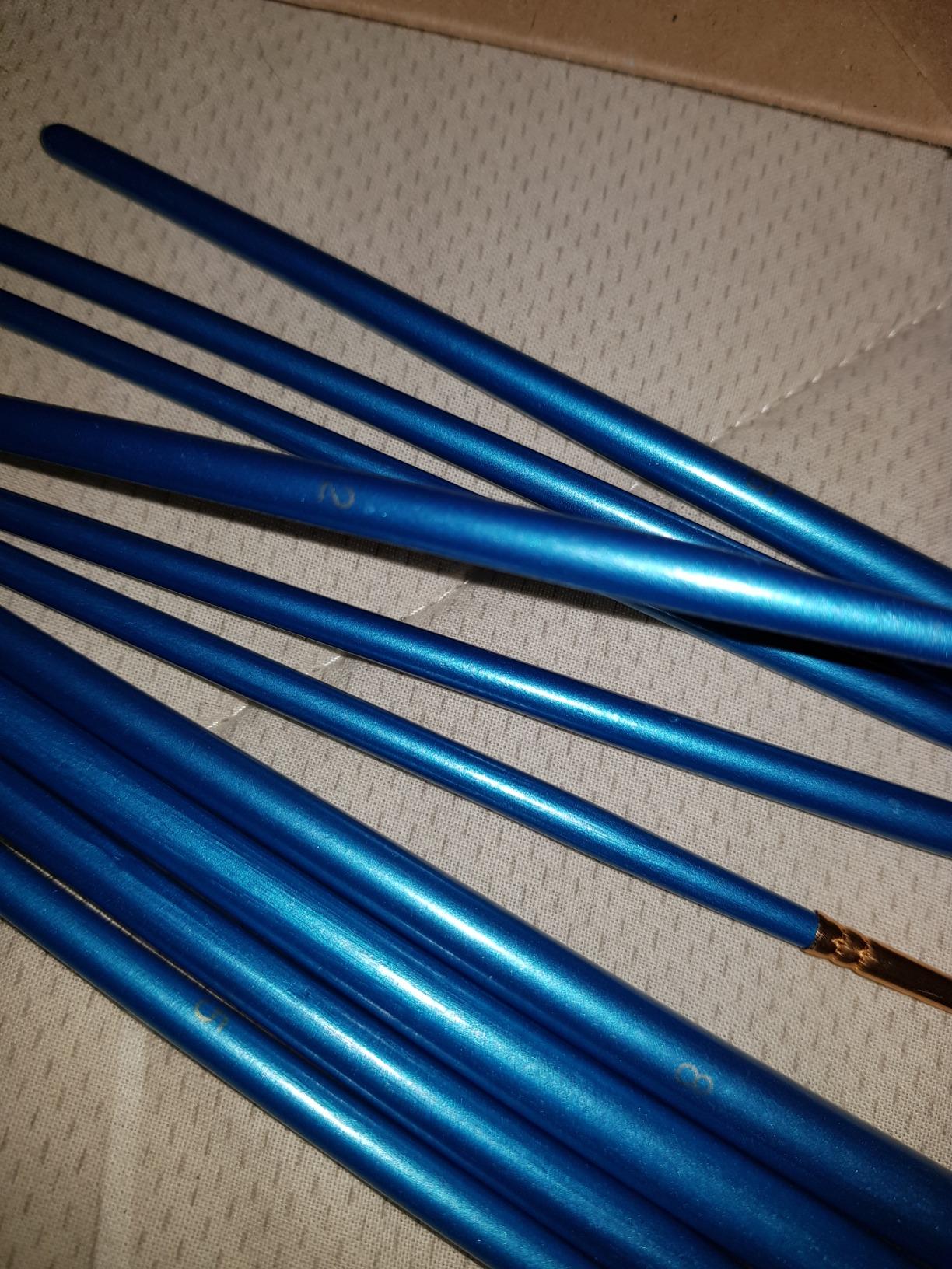 AmazonBasics Set 10 Pennelli Pittura Blu Acrilico