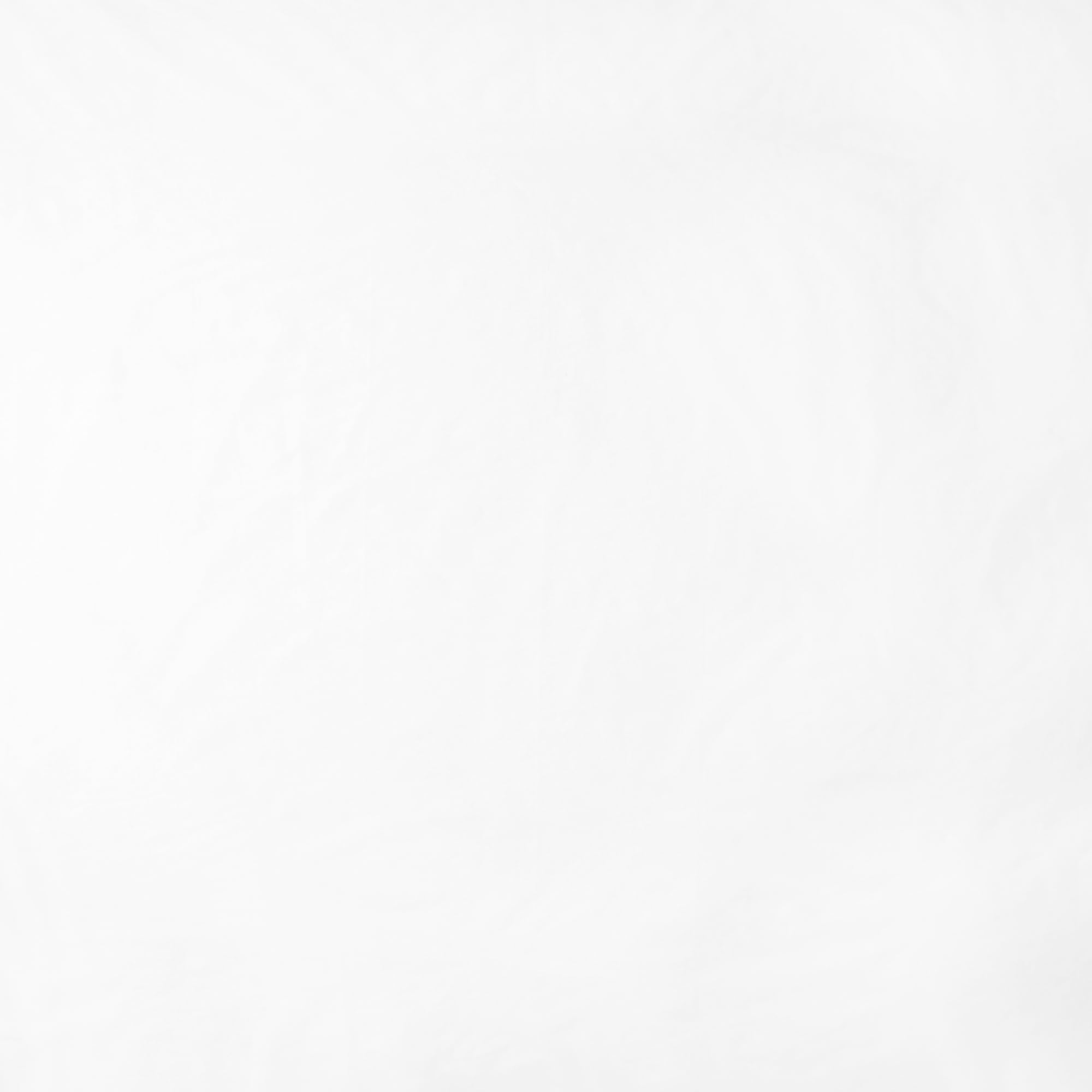Amazon Basics Telo piante antigelo 3x9,1 m bianco
