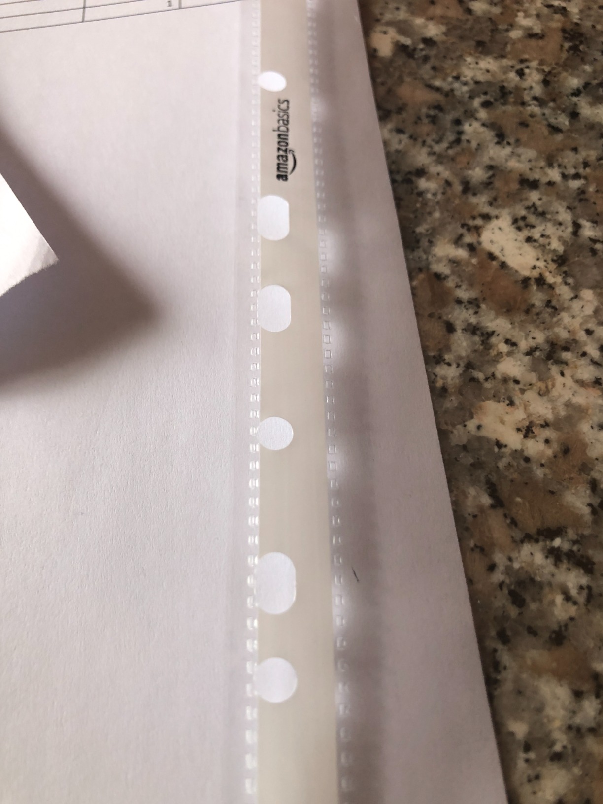 AmazonBasics Buste Forate A4 80 Micron 100 Pezzi Antiriflesso
