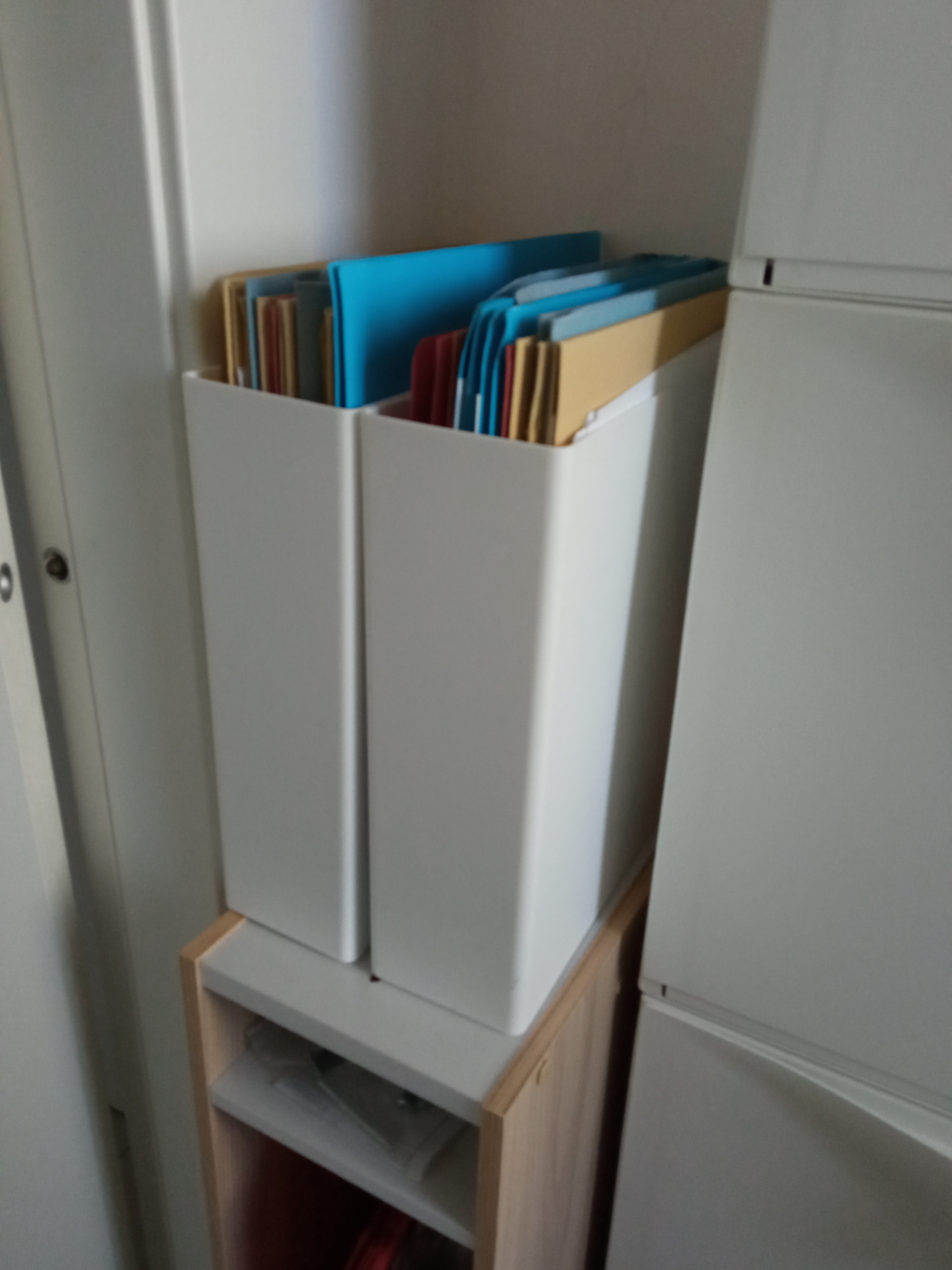 Amazon Basics Organizer Portariviste Plastica 2pz Bianco