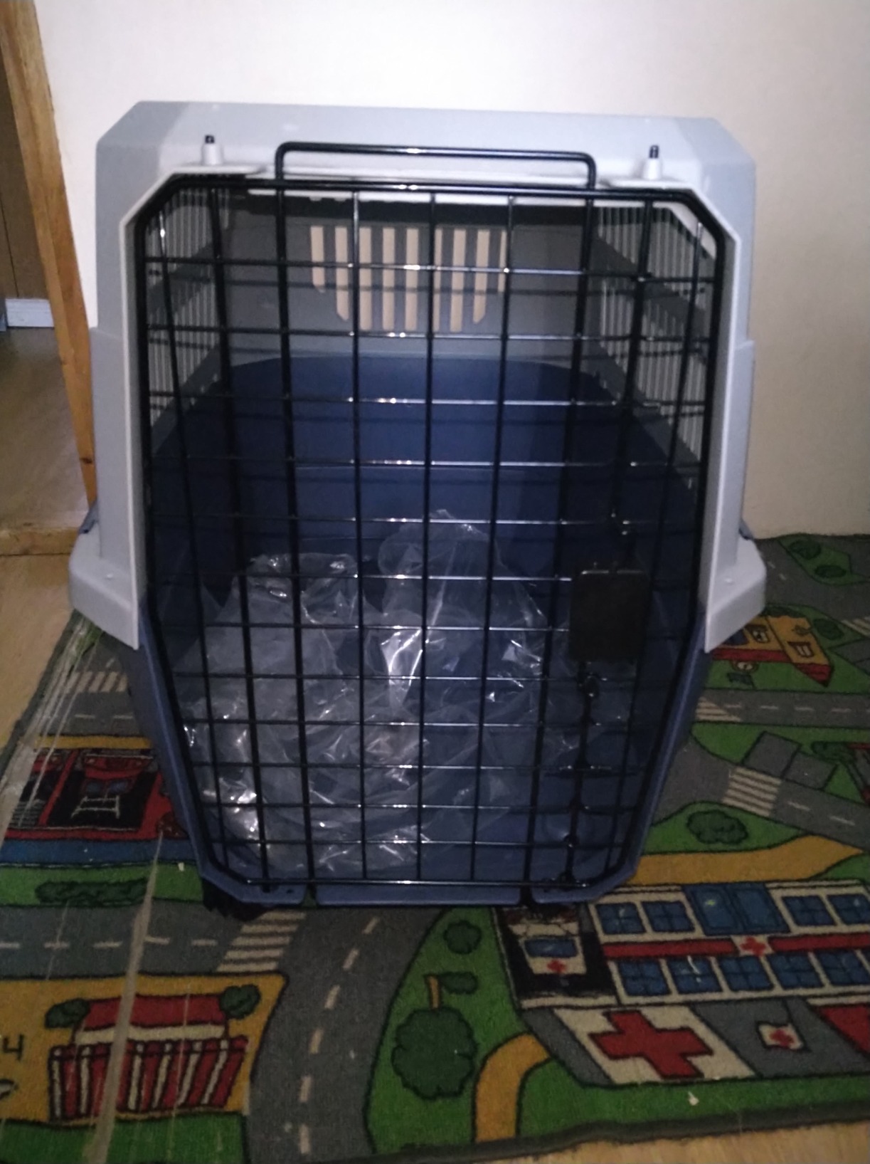 AmazonBasics Trasportino Rigido 60x40x33 cm per Cani e Gatti