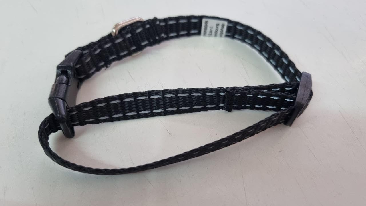 Amazon Basics cintura sicurezza cane nera taglia unica con ciotola