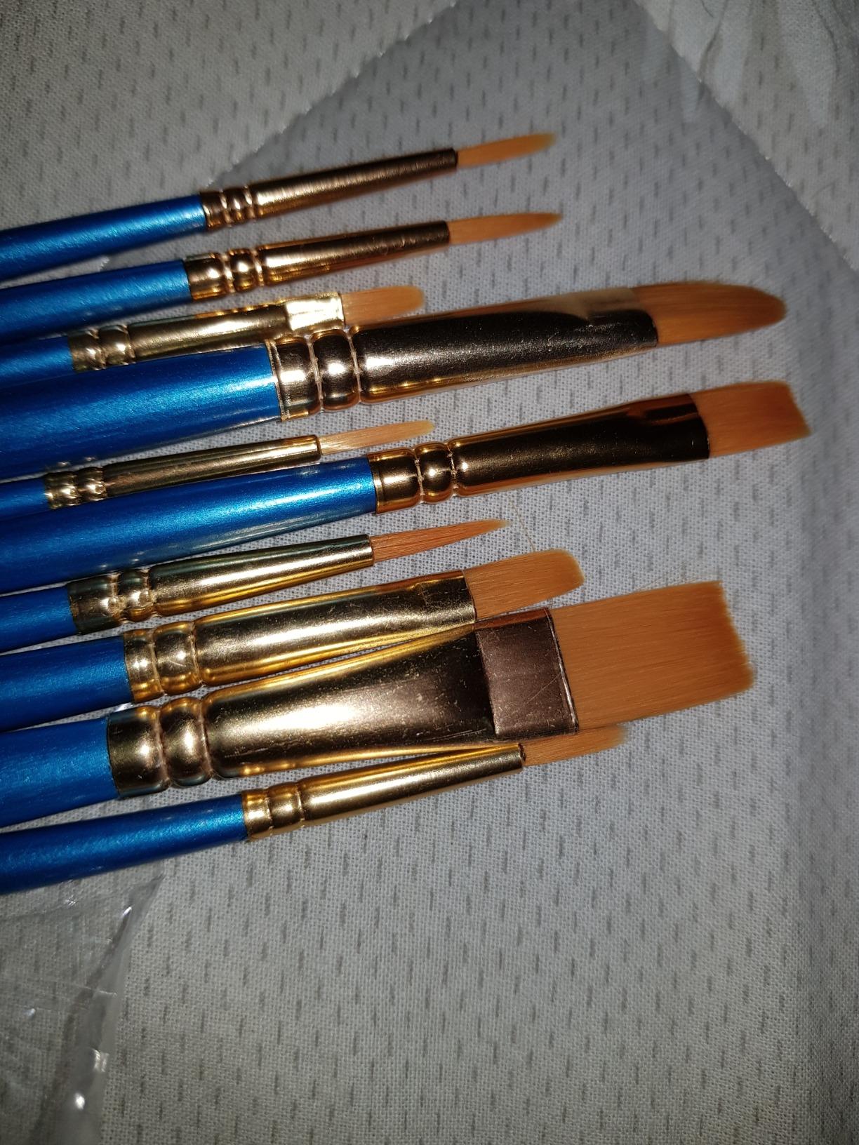 AmazonBasics Set 10 Pennelli Pittura Blu Acrilico