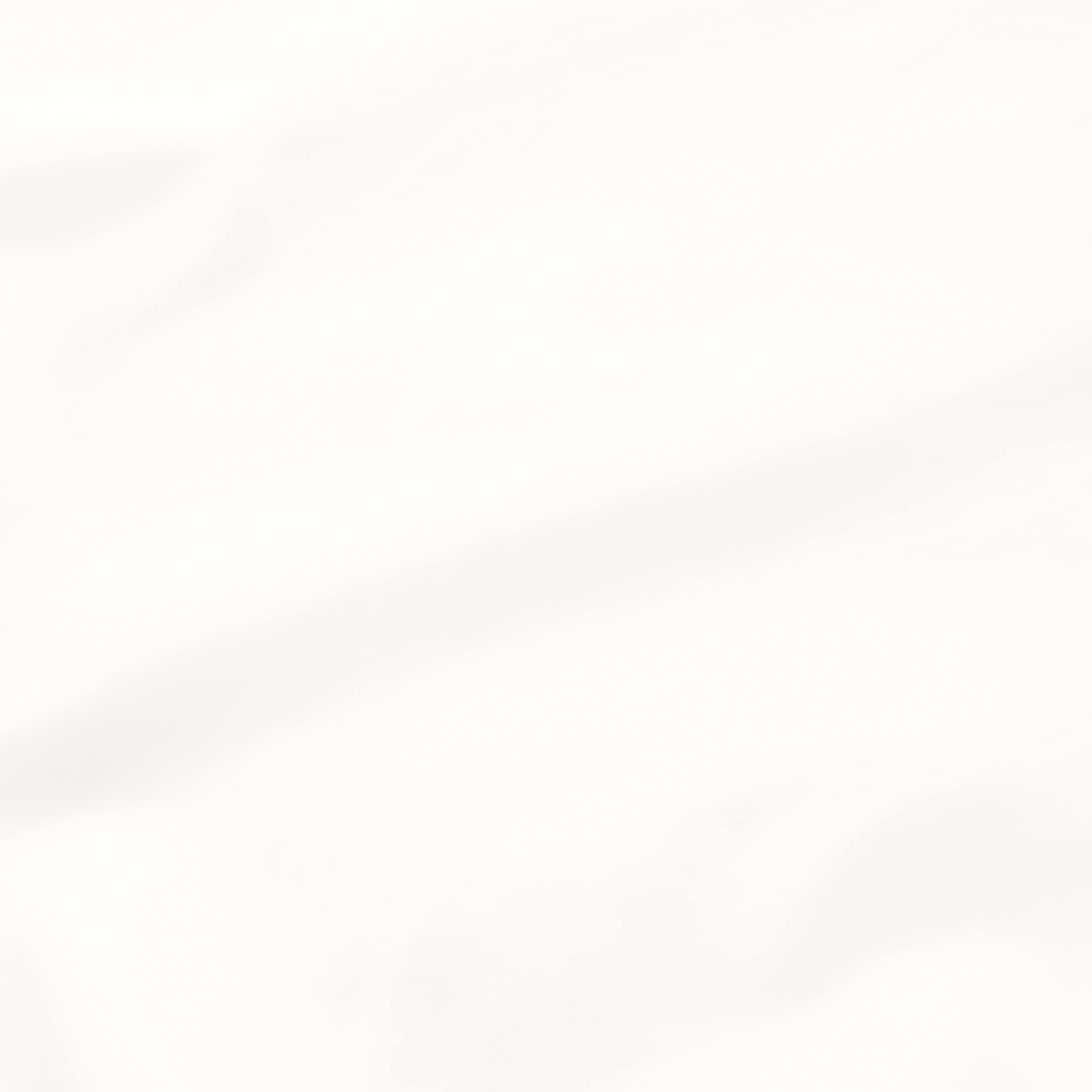 AmazonBasics Lenzuolo con Angoli 160x200 Bianco Cotone