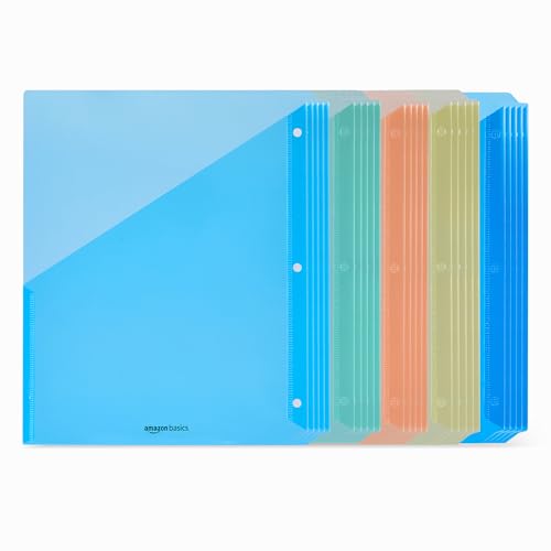 Amazon Basics Buste Forate A4 Colorate 25 Pezzi Trasparenti