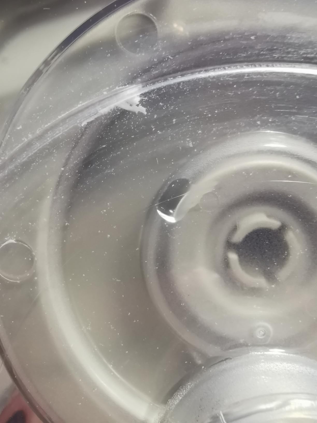 Amazon Basics centrifuga insalata 4L grigio lino senza BPA